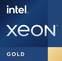 описание, цены на Intel Xeon Scalable Gold 3rd Gen